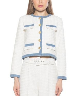 Alexia Admor Rose Tweed Jacket - Blue