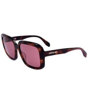 Alexander Wang Adidas 56Mm Sunglasses - Brown