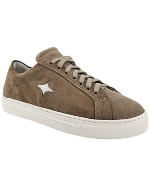 Madison Maison Sirius Star Suede Trainer - Brown