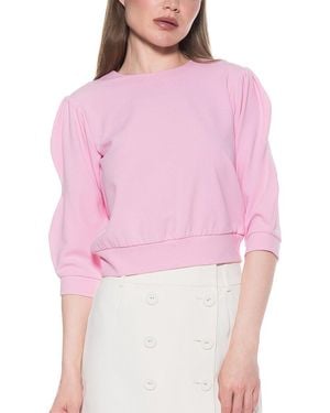 Alexia Admor Bebe Top - Pink