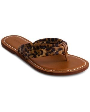 Bernardo Miami Haircalf Sandal - Brown