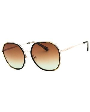 Longchamp Lo163S 58Mm Sunglasses - Brown