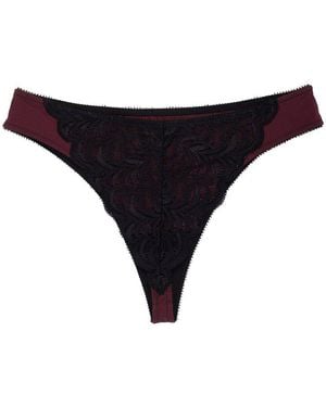 Natori Persuasion Stretch Lace Thong - Blue