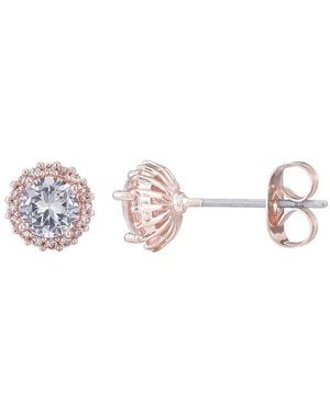 Adornia 14K Rose Plated Cz Halo Stud Earrings - Pink