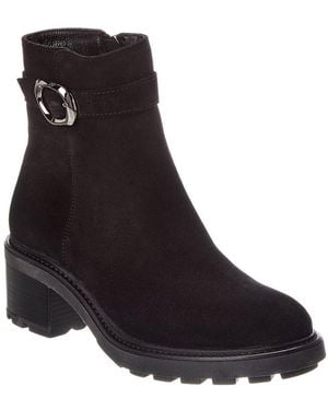 La Canadienne Avon Suede Bootie - Black