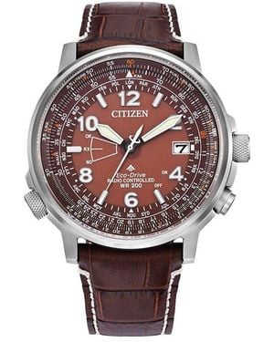 Citizen Eco Skjy Watch - Metallic