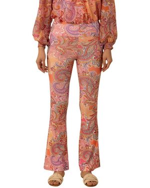 Hale Bob Opal Pant - Orange
