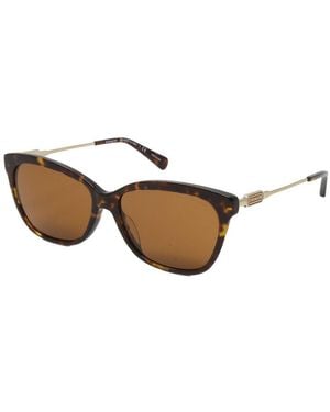 COACH Hc8305F 57Mm Sunglasses - Brown