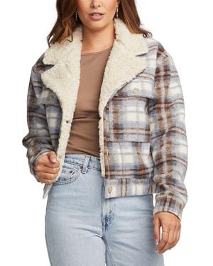 Saltwater Luxe Zumi Jacket - Gray