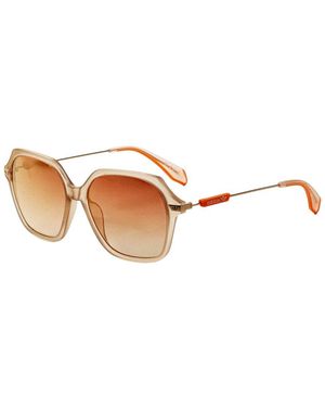 Alexander Wang Adidas Or0082 55Mm Sunglasses - Brown