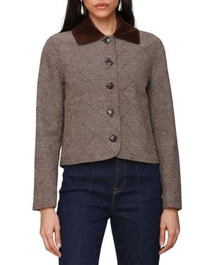 Bagatelle Suiting Coat - Brown