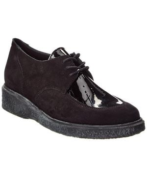 Arche Johiro Suede & Patent Trainer - Black