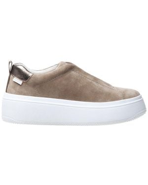 Linea Paolo Golde Suede Trainer - Brown