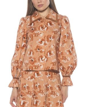 Alexia Admor Shannah Blouse - Brown