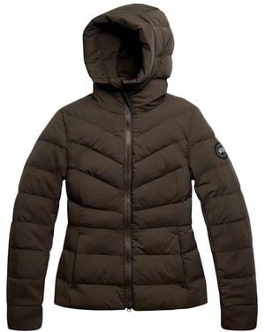 Canada Goose Clair Down Jacket - Brown