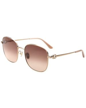 Ferragamo 60Mm Sunglasses - Brown