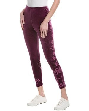 Johnny Was Cassia Velvet Legging - Red