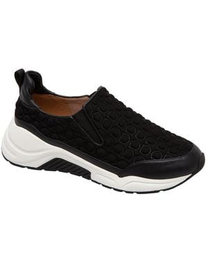 Linea Paolo Rawson Trainer - Black