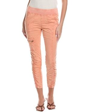 XCVI Malanda Pant - Pink