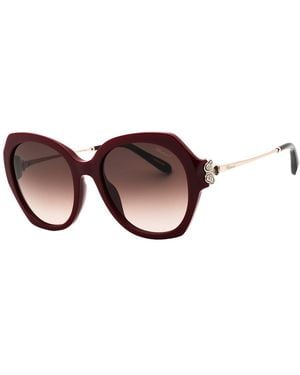 Chopard Sch354S 54Mm Sunglasses - Brown
