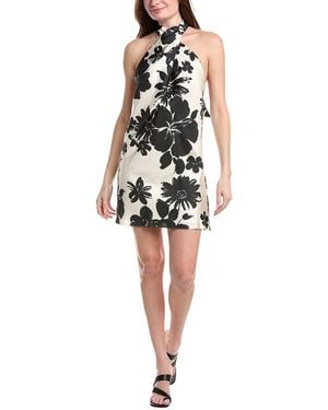 FLORA BEA NYC Miso Halter Neck Silk Mini Dress - Black