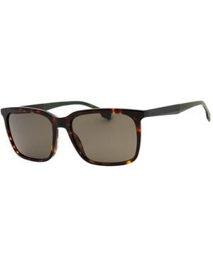BOSS Boss 1579/S 57Mm Sunglasses - Brown