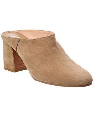 Tod's Suede Mule - Brown