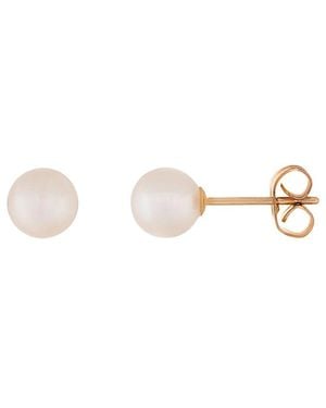 Splendid 14k 5-6mm Akoya Pearl Studs - Multicolour