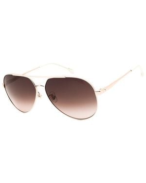 Carrera 63Mm Sunglasses - Brown