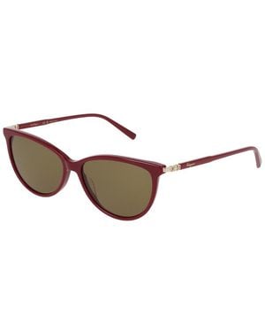 Ferragamo Timeless 55Mm Sunglasses - Brown