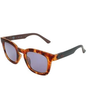 adidas Aor022 48Mm Sunglasses - Brown