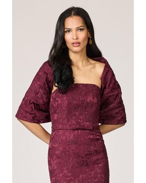 Sachin & Babi The Hug Burgundy Jacquard Shawl - Red