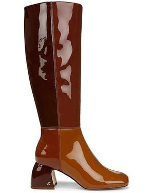 Circus by Sam Edelman Oaklyn 60Mm Colorblocked Knee High Boots - Brown