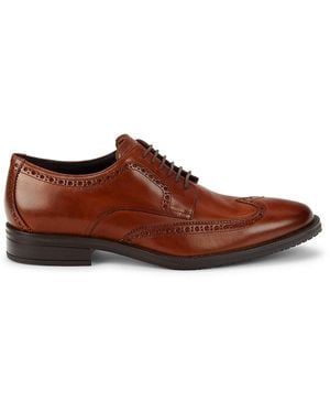 Cole Haan Wingtip Leather Brogues - Brown