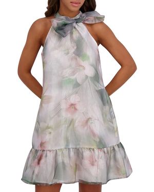 Kensie Floral Organza A-Line Minidress - White