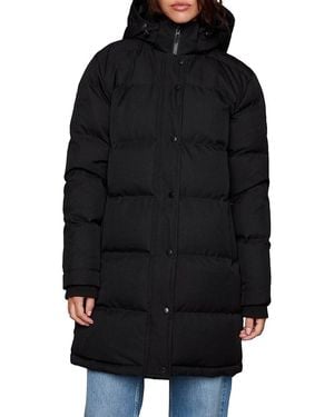 Toboggan Canada Izzy Hooded Puffer Parka - Black