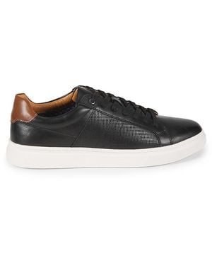 Steve Madden Strouz Textured Low Top Sneakers - Black