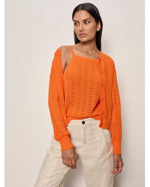Sanctuary For Keeps Pointelle Cardigan Hibiscus Orange