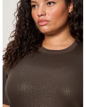 Sanctuary Sparkle Sequin Sweater Ink Extended Sizing - Brown