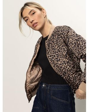 Sanctuary Monroe Sateen Bomber Jacket French Kitty - Multicolor