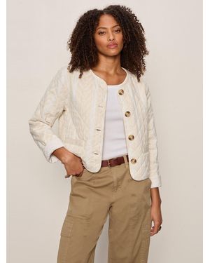 Sanctuary Crafted Coco Jacket Collagen Stripe - Brown