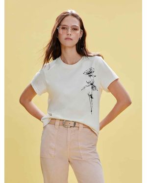 Sanctuary Timeless Tee Collagen With Dandelion - White