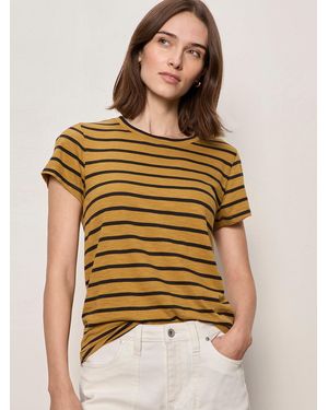 Sanctuary The Perfect Tee Cumin/black Stripe - Yellow