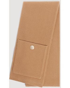 Sandro Wool And Cashmere Scarf - Brown