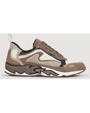 Sandro Flame Trainers - Brown