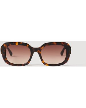 Sandro Square Sunglasses - Brown