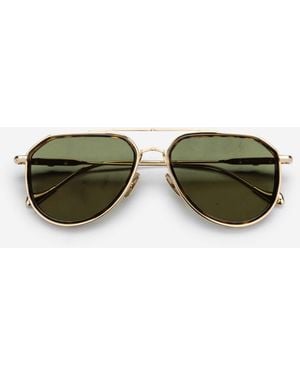 C.& G. The Great Frog Aviator Sunglasses - Green