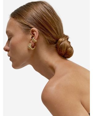 Paola Sighinolfi Pendientes Talisman Hoops - Marrón