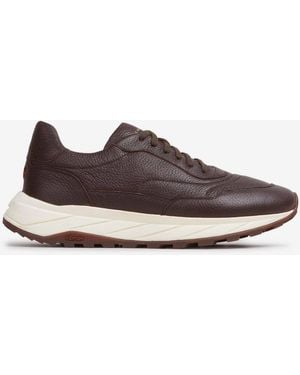 Henderson Sneakers Shark - Marrone