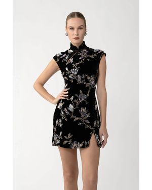 SAU LEE Devon Velvet Mini Dress - Black